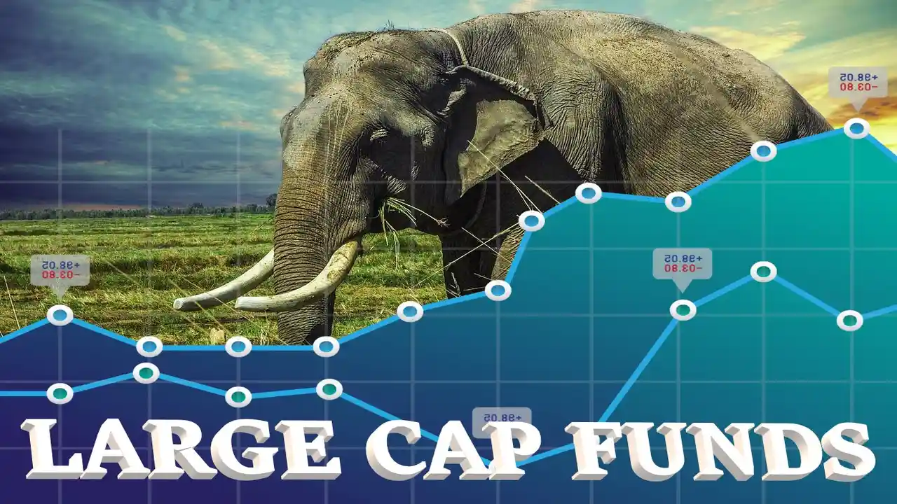 Large Cap Fund-Meaning-What are Large Cap Mutual Funds-Examples of Large Cap Equity Funds-Characteristics of Large Cap Funds-Benefits of Large Cap Funds-FinancePlusInsurance