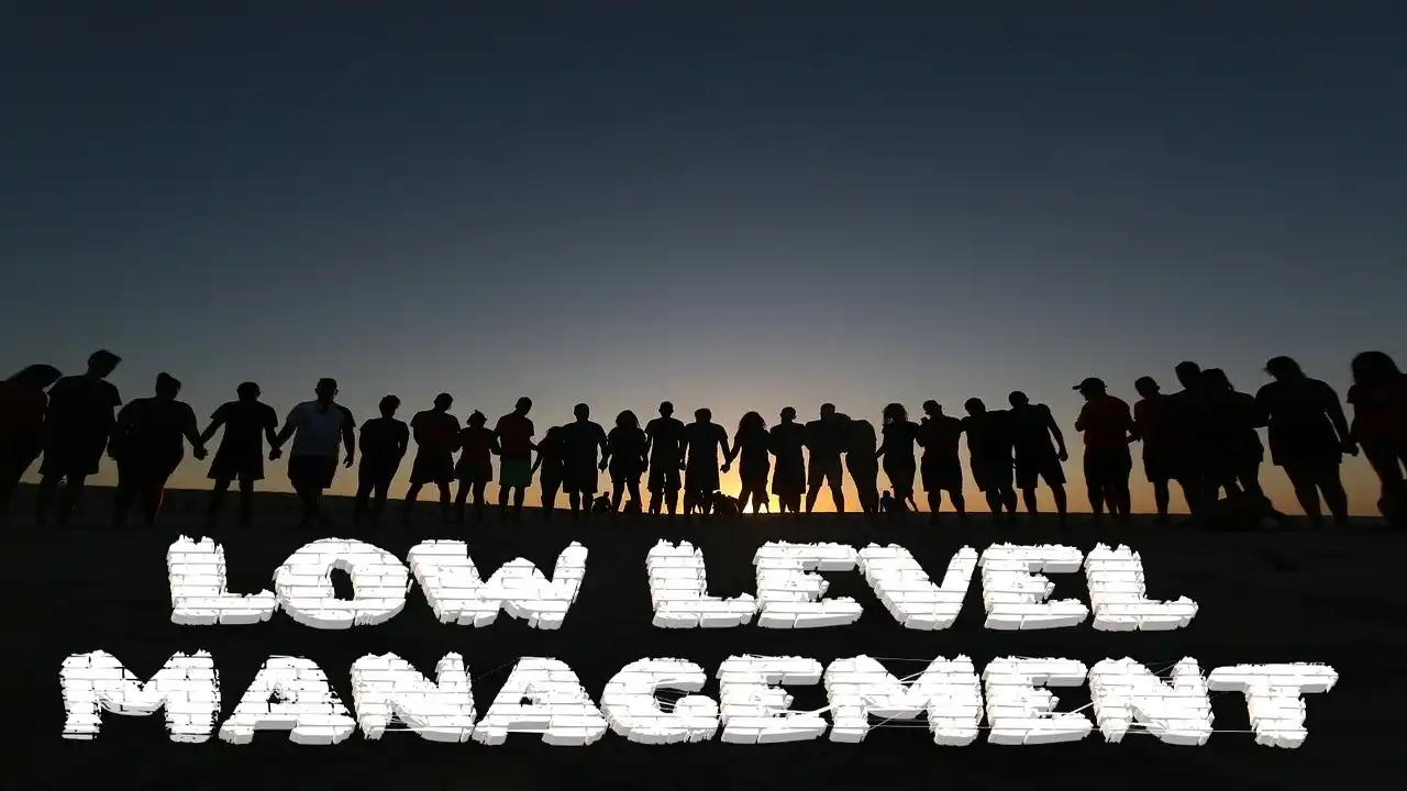 Low Level Management-FinancePlusInsurance