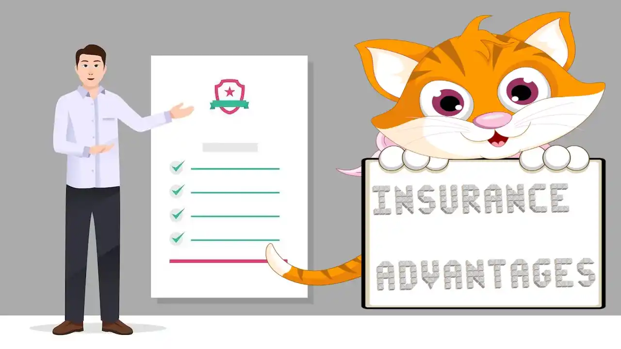 Top 10 Advantages Of Insurance FinancePlusInsurance